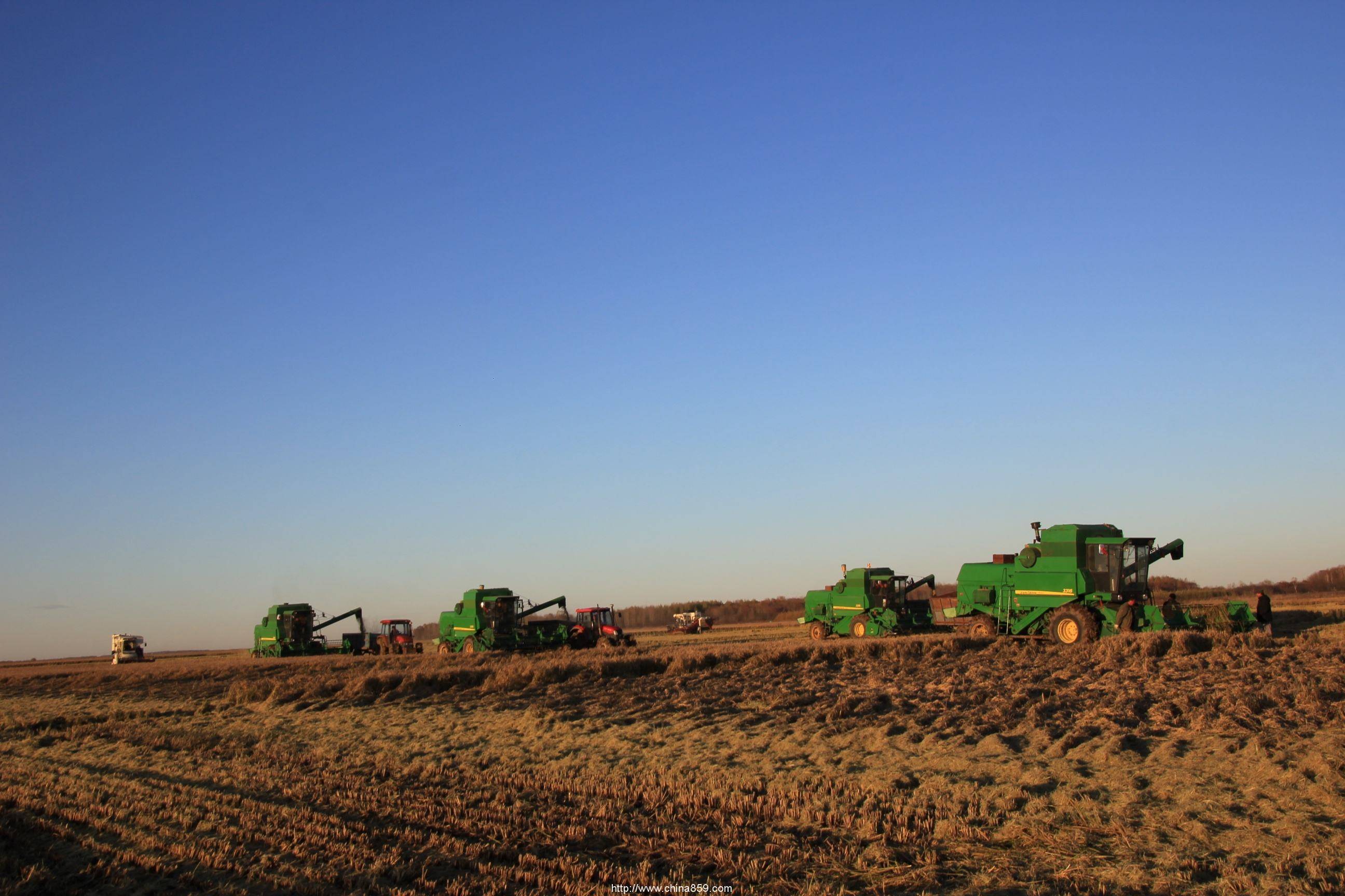 佳掌柜csa生态直供给大家的农业"干货"_生产方式