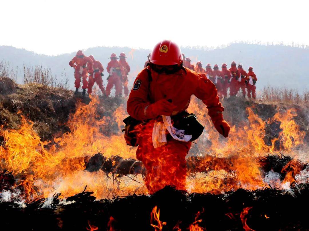 四川森林火灾牺牲的消防员,宁愿你们不曾成为英雄
