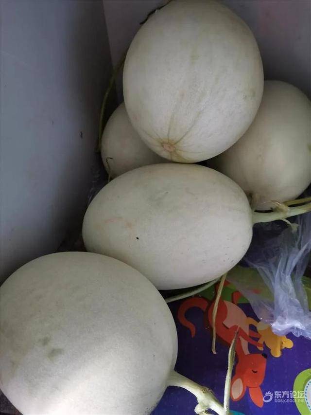 中奖了去水果市场买箱瓜浙江网友回家一看愣住了