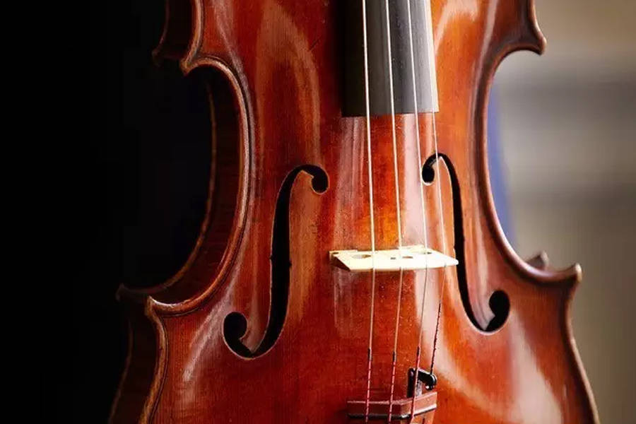 意大利中提琴的前生今世前篇