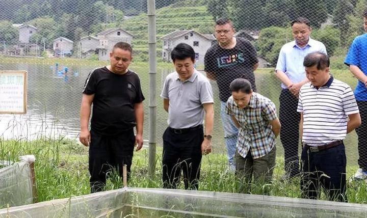 绥阳县委书记李晓梦到小关郑场调研