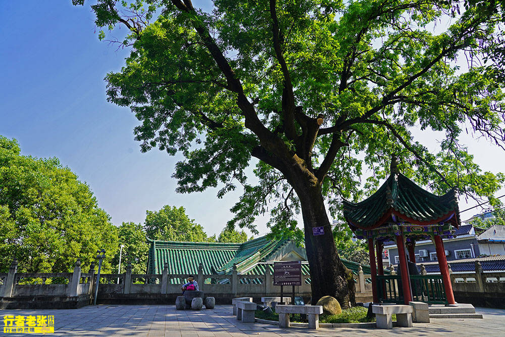 原創漢中古漢臺,大漢王朝和漢文化的源起之地,漢高祖劉邦的王府遺址