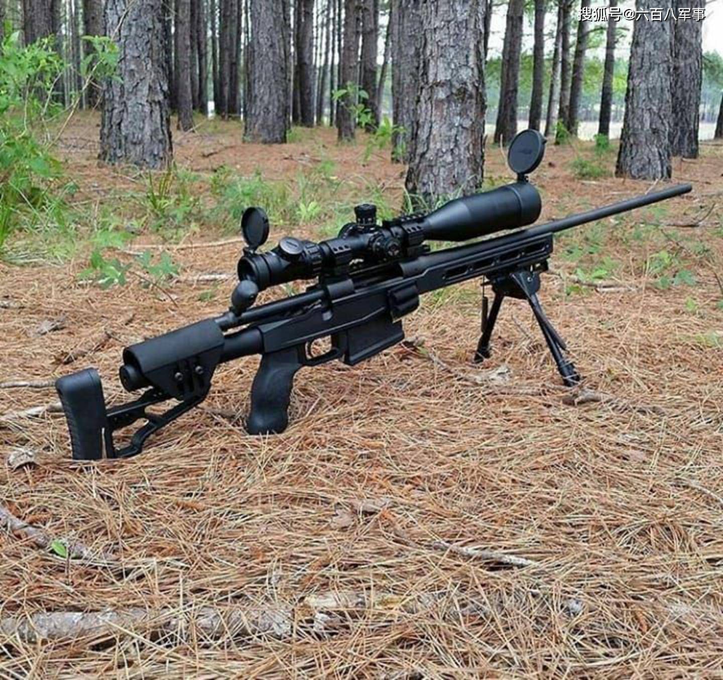 轻武器欣赏系列,狙击步枪专场,被锁定就凉凉