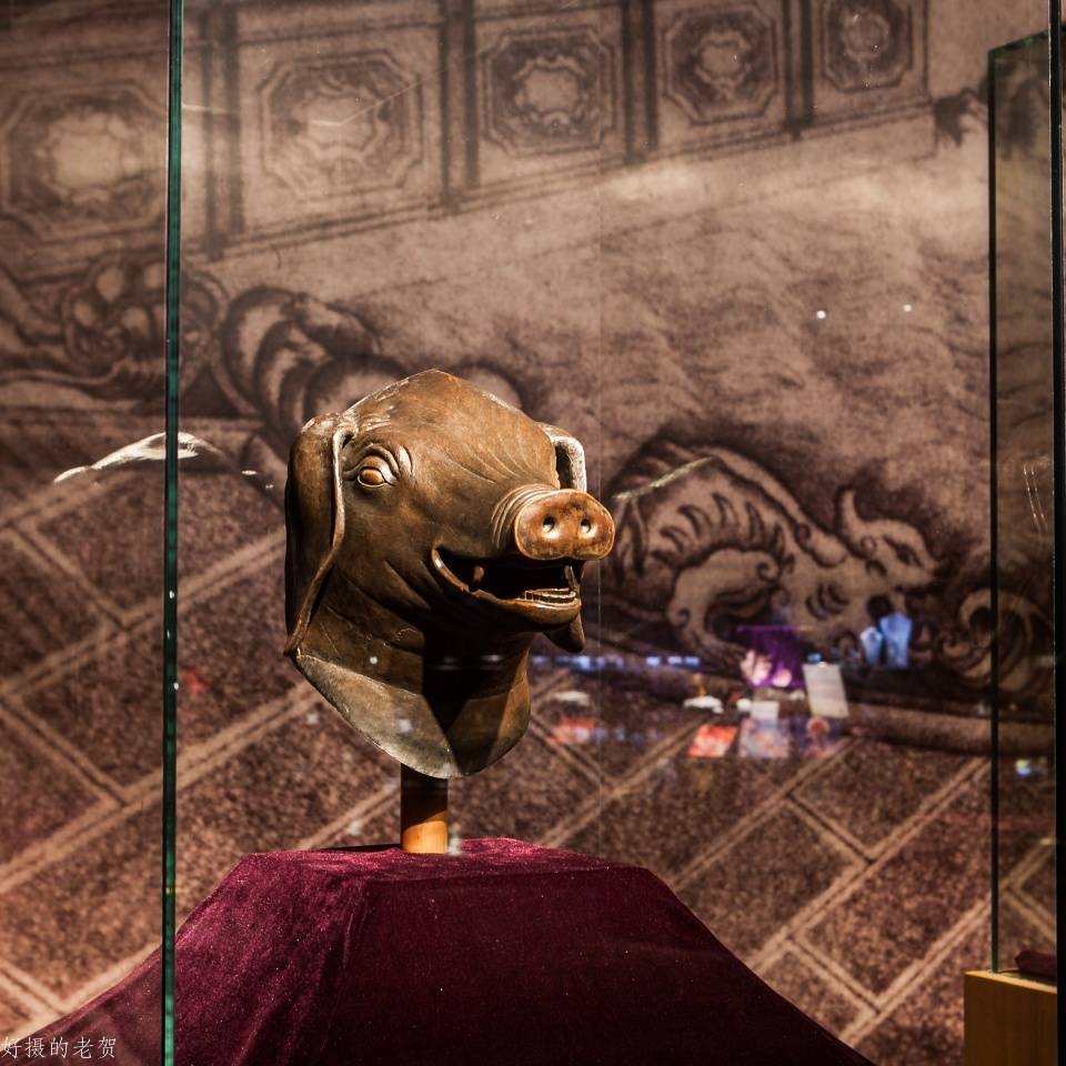猪首铜像的年代图片