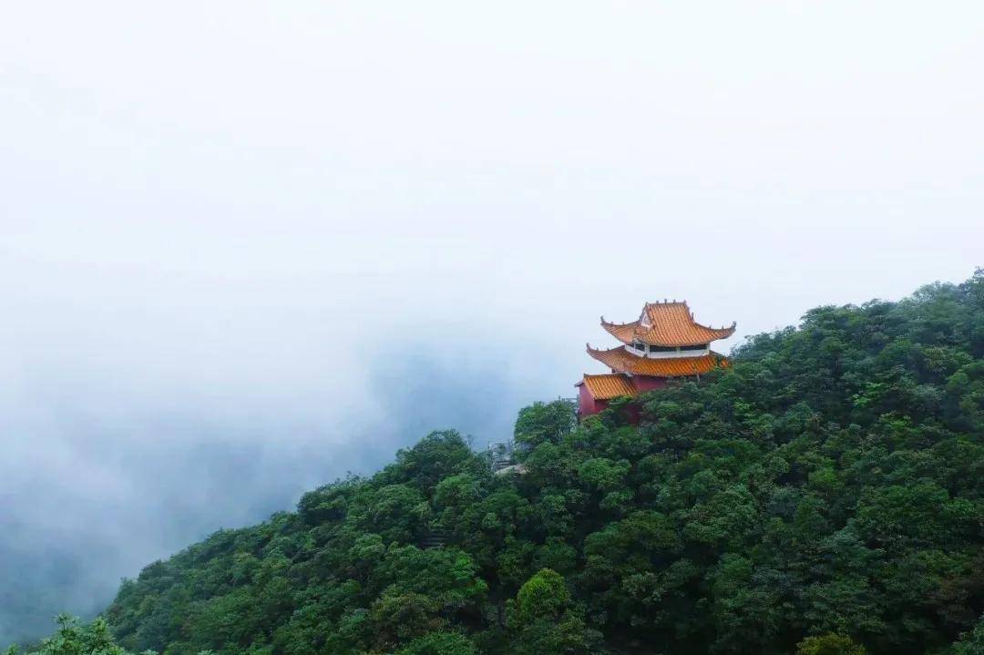 百看不厭盛夏時節,雲海奇觀出現的幾率大增一起自駕到南寧大明山邂逅