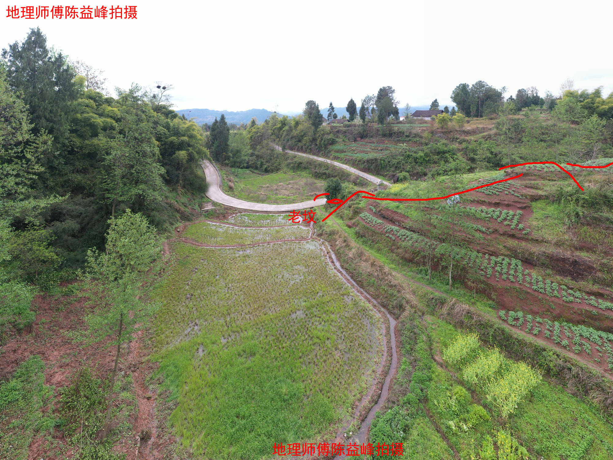 原创陈益峰:龟形地,向氏团长祖坟