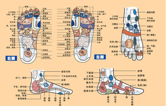 西屋wmsm6體驗不一樣的休閒放鬆方式