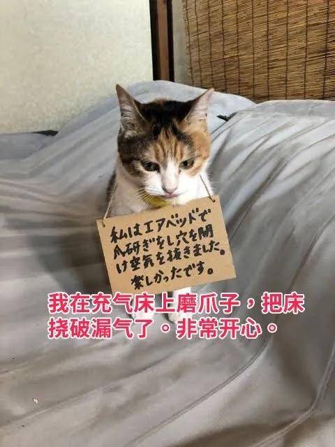 图片[24] - 【xizi被窝段子20200529】生活是苦难的 我又划着断桨出发 - xizi