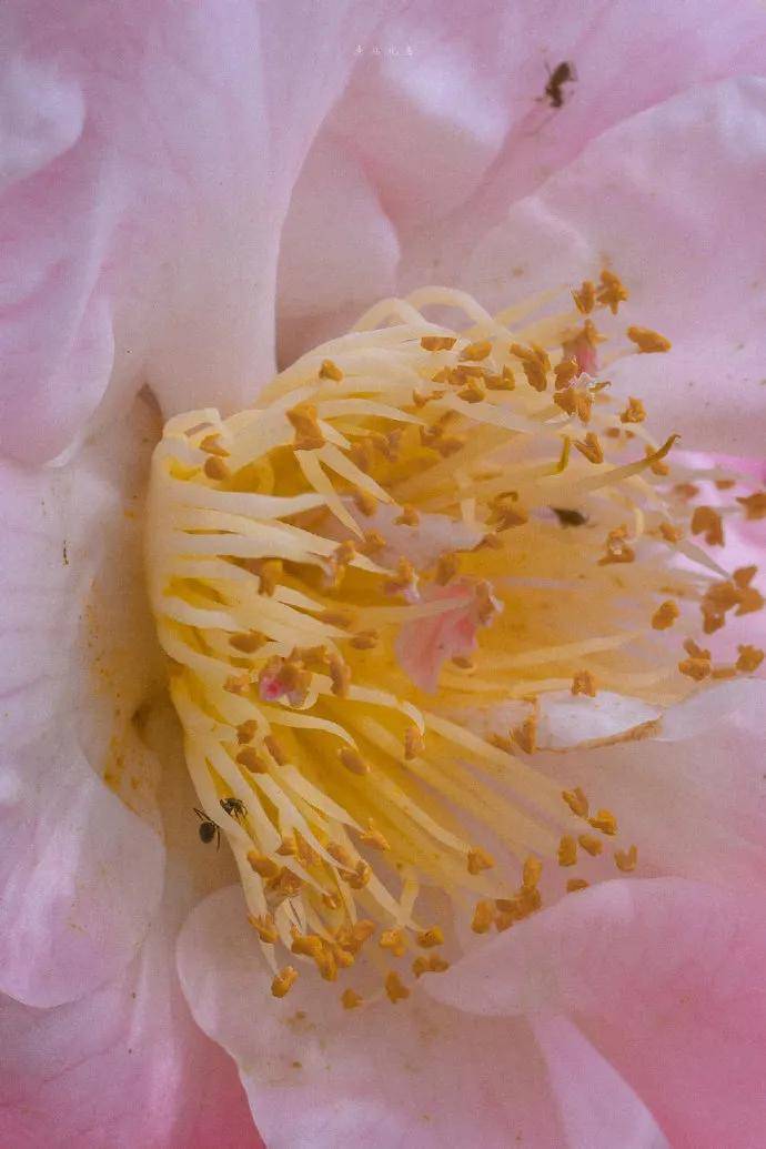 图片[20] - 【xizi被窝段子20200529】生活是苦难的 我又划着断桨出发 - xizi