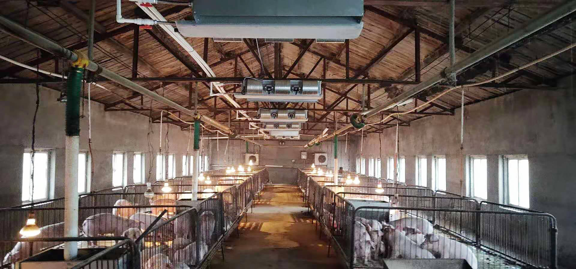 空气源热泵应用于畜牧业供暖的优势