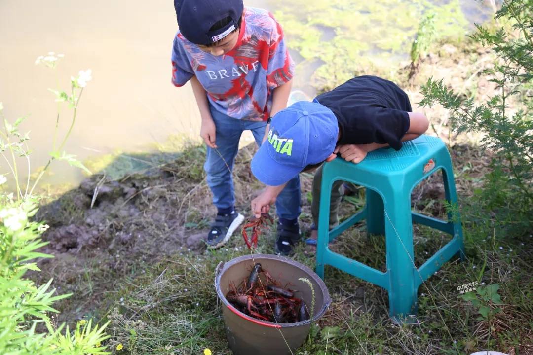 1/ 12 导语:春天看桃花,夏天钓龙虾,每到眼下的季节,是不是就特别惦记
