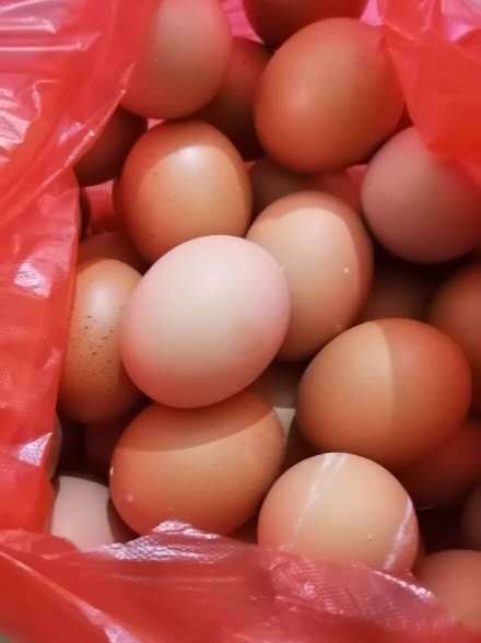 家里的鸡蛋一兜又一兜
