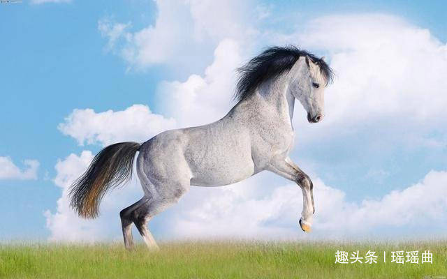 虽然有时候说的多,但是属马人会在六月份遇到许多贵人,这样属马人就