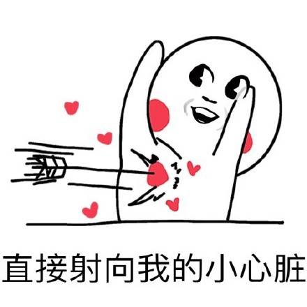 我是一枚不正常迷妹【表情包】_手机搜狐网