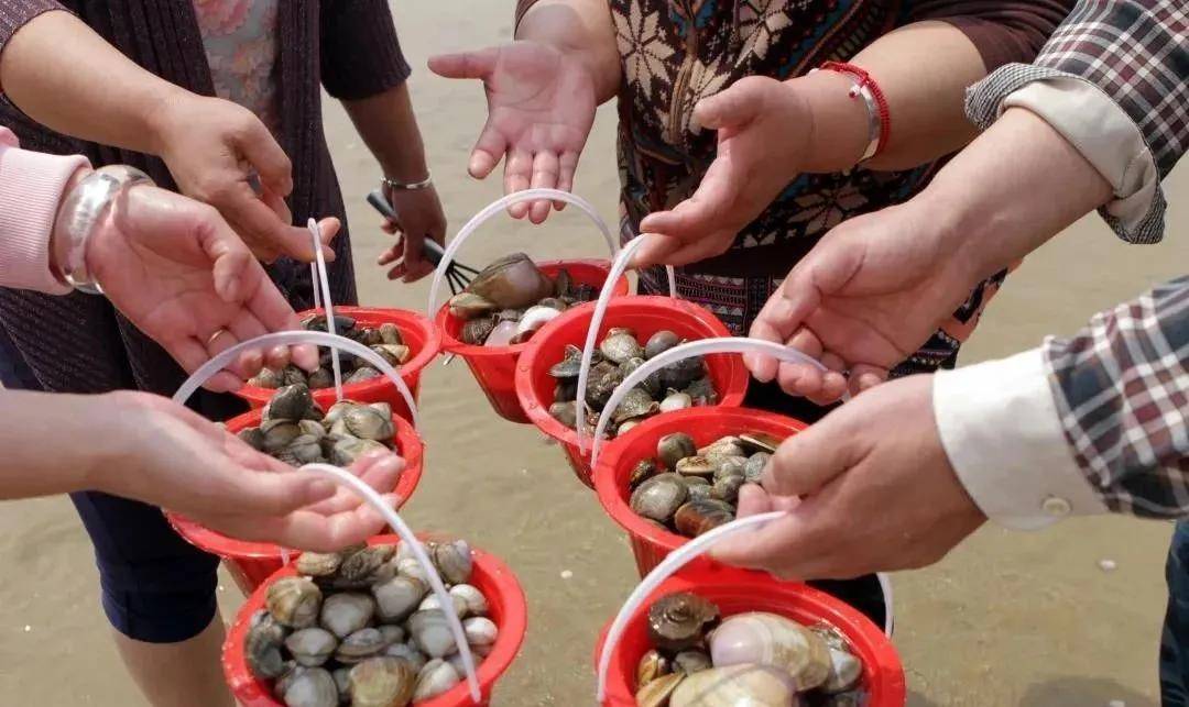 如顺冷暖听说东营又兴起了赶海挖蛤潮