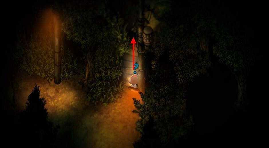 梦魇余波,女鬼之梦与自然界的奇异邂逅 梦魇余波,女鬼之梦与自然界的奇异邂逅