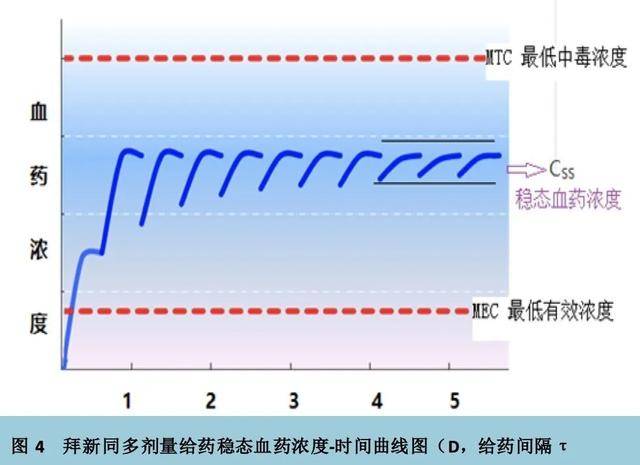 药物半衰期在合理用药中的应用