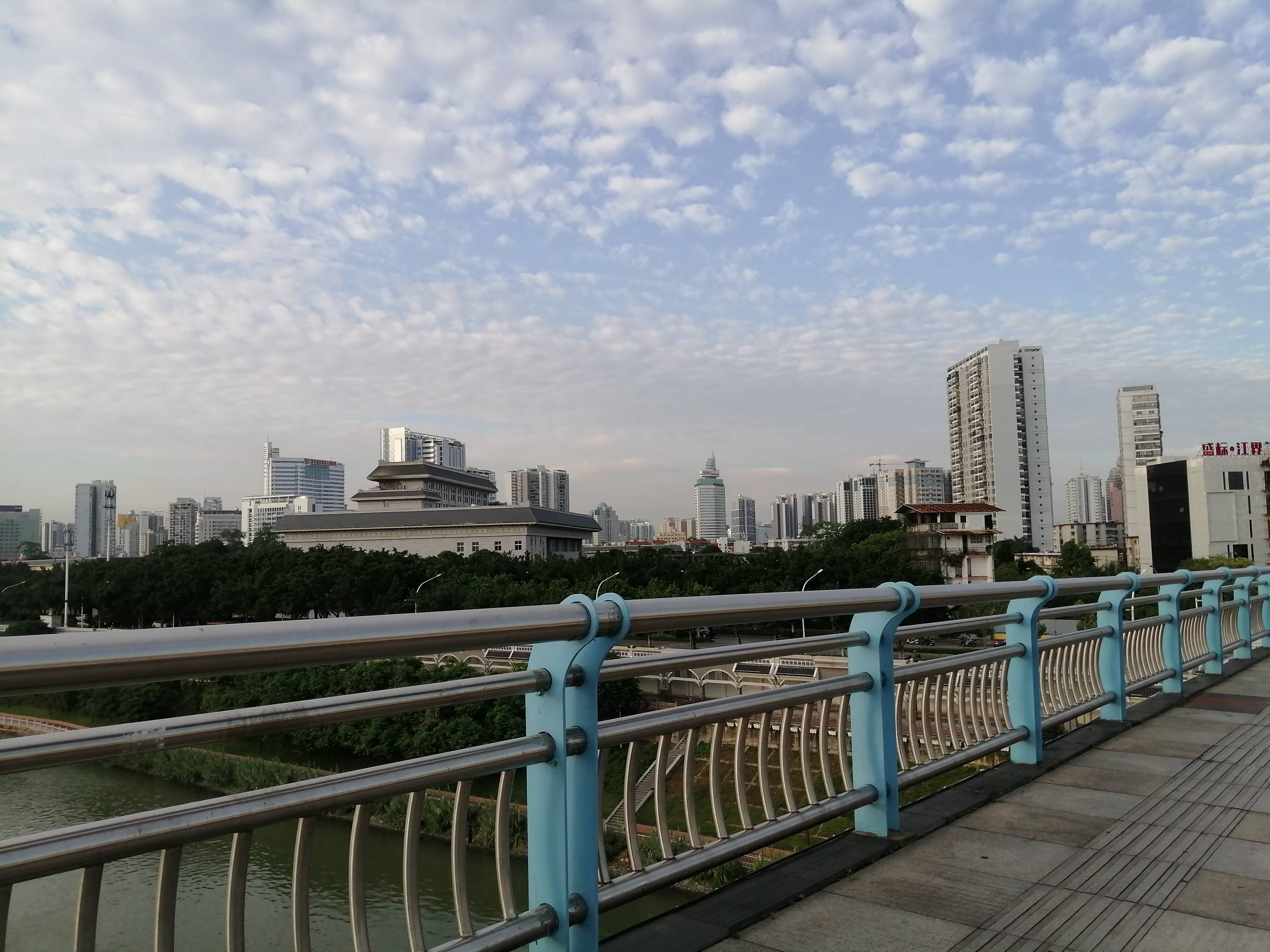 电动车竟然不能直走,到了引桥只能顺着栏杆拐往江南大道,我有点搞不清