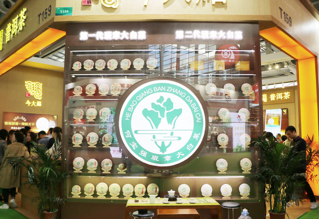 何宝强与班章大白菜  怀匠人之心 做生命之茶