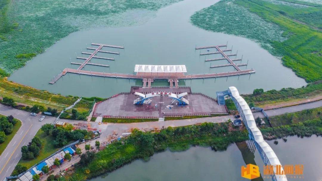 引凤梧桐 助力腾飞 梧桐湖生态科学城