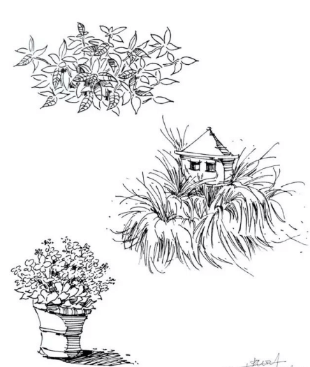 武汉209画室风景速写局部之树木与石头的刻画