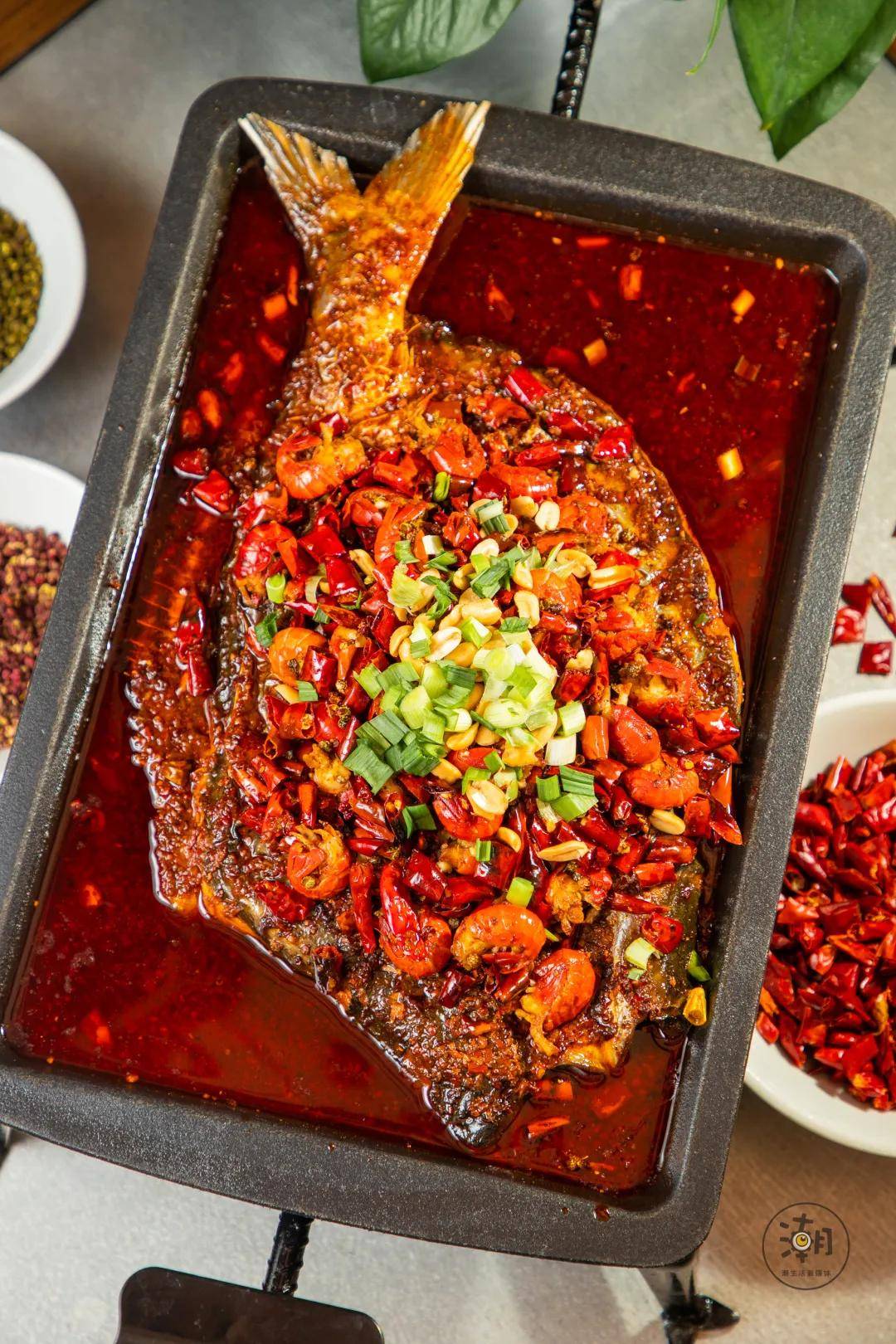 一年卖出1300w 烤鱼的大佬,免费送成都人60000元福利!