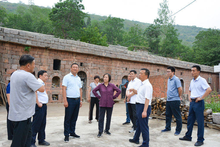 省住建厅副厅长张秀梅一行到巩义市涉村镇调研传统村落保护工作