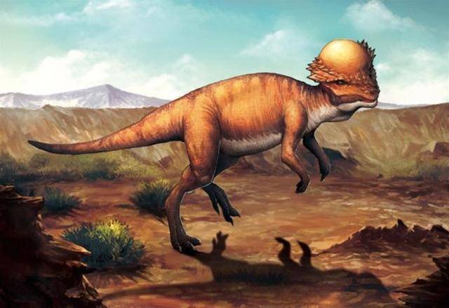 原创海贼王983话,乌尔缇兽人形态曝光,庄聚贤和祢豆子的结合