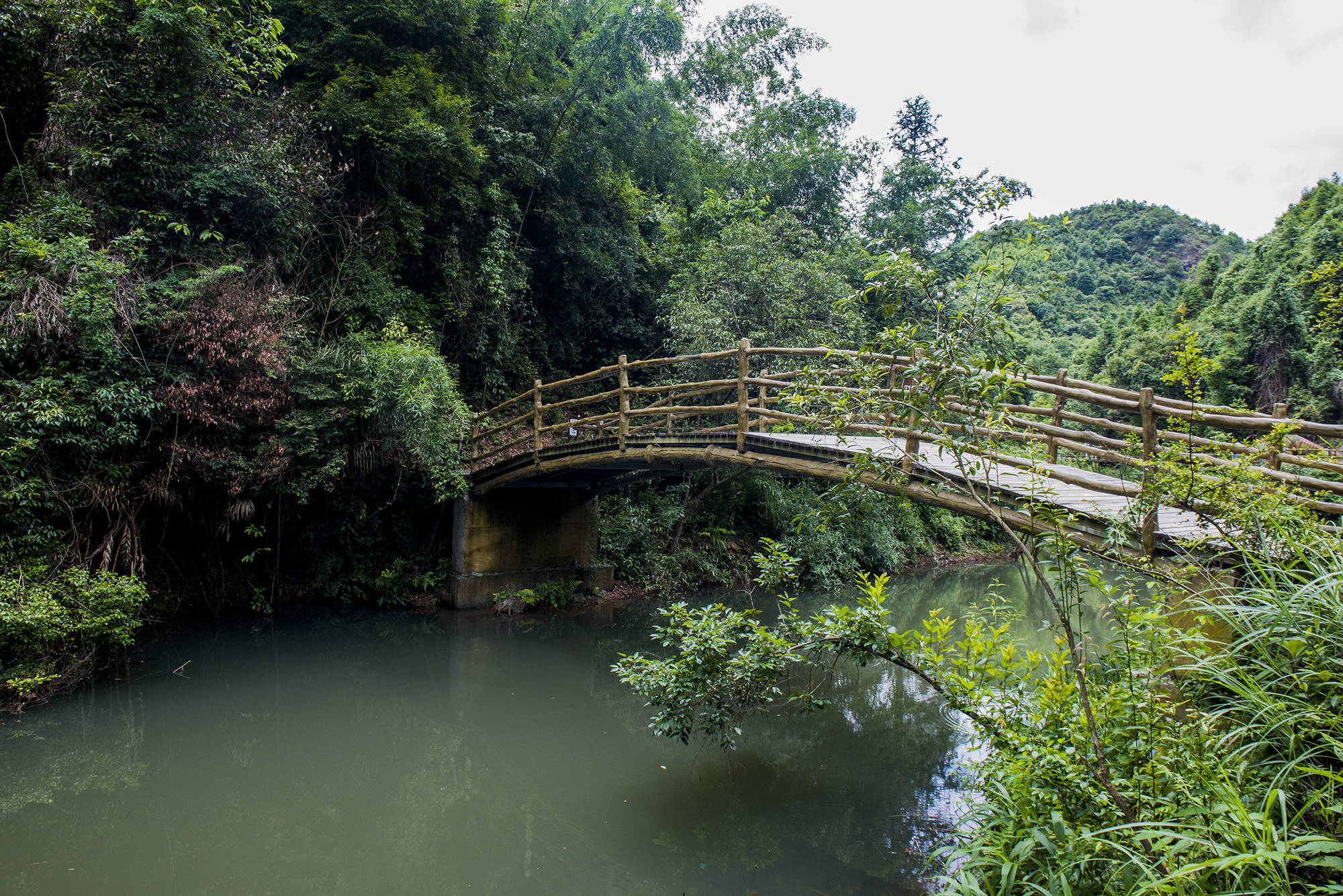 距離景區出口最近的是恐龍谷,沿途設置了很多仿真恐龍,非常受小朋友們