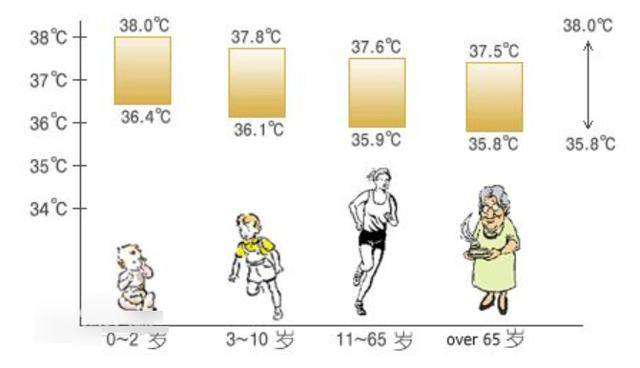 人体体温早晚变化图片