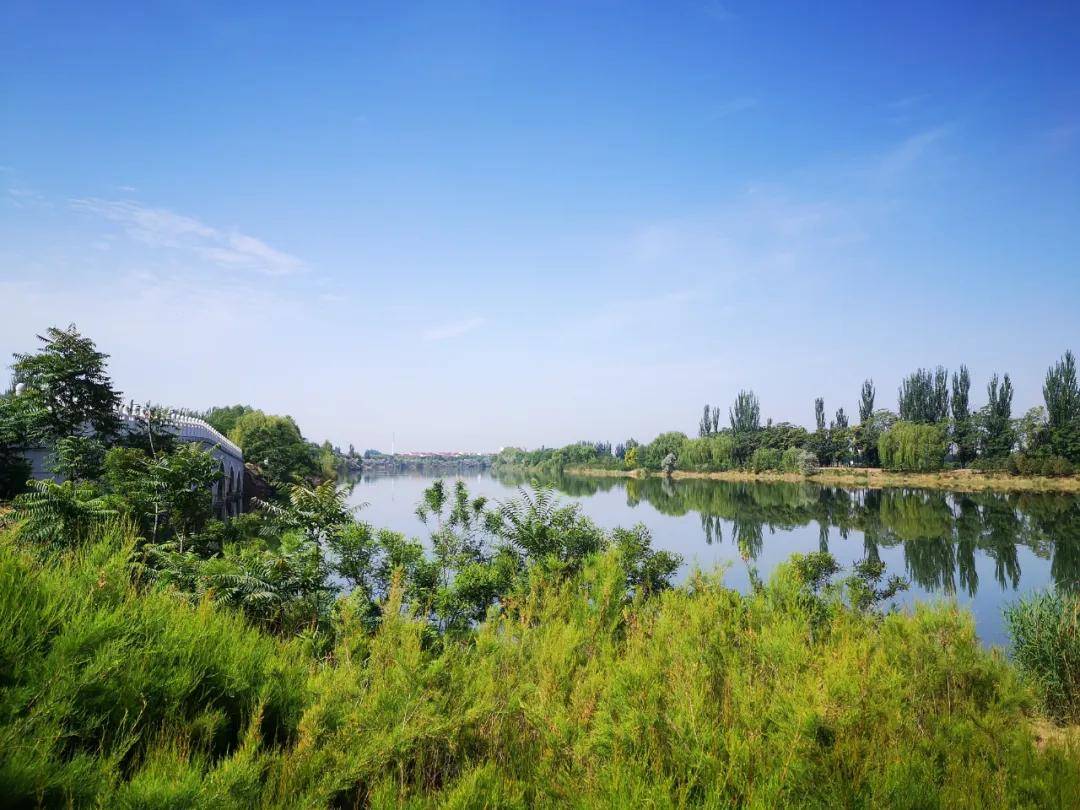 藍天白雲,晴空萬里.青銅峽,你還能再美點嗎?