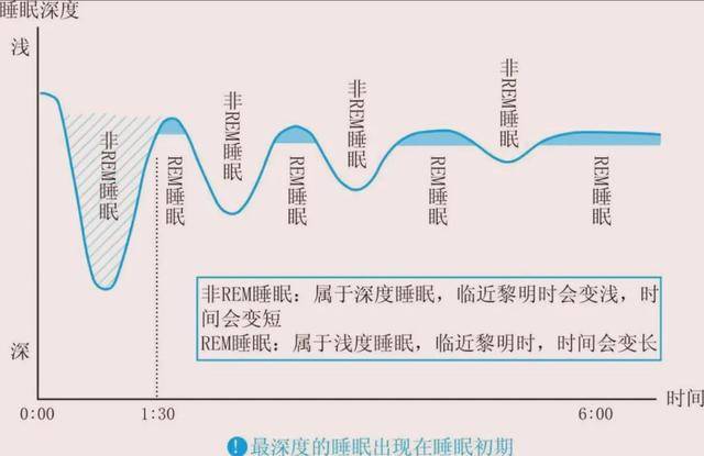 我们睡眠的整个过程是按周期进行的,睡眠的第一周期为"入睡→非rem