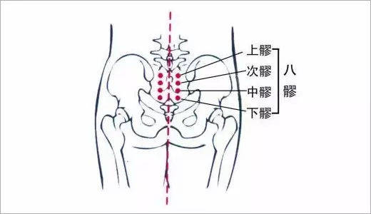 养好八髎穴让你远离妇科,腰骶疾病!