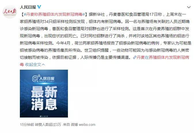 丹麦家貂确诊新冠病毒疫情下最后生还者也被赋予魔幻现实主义色彩