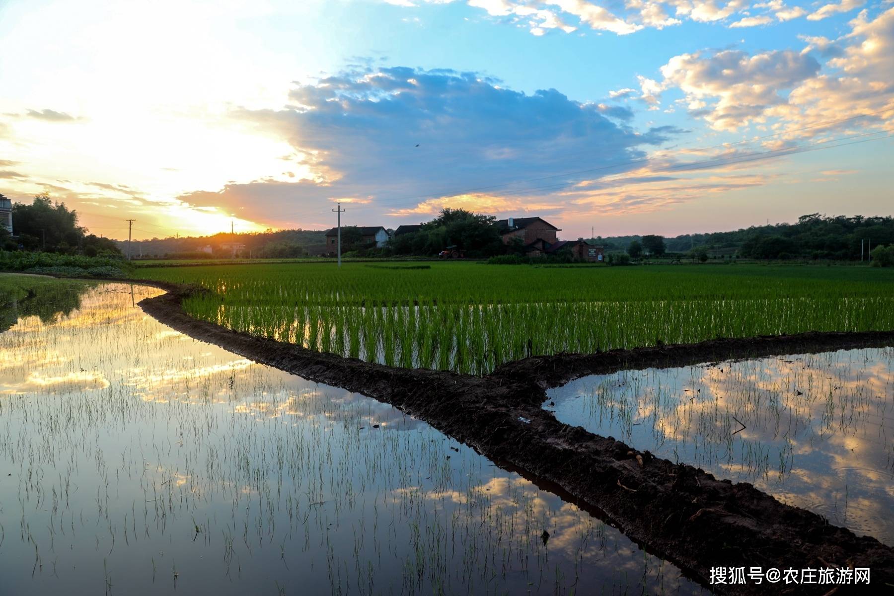 湖南衡阳更荣村:行走在田园的清晨时光