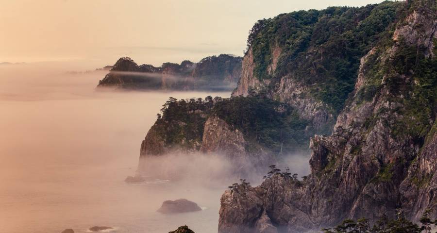 今年618大促后家电走向新格局：低价促销疲软、厂商竞争分化-家电圈官网