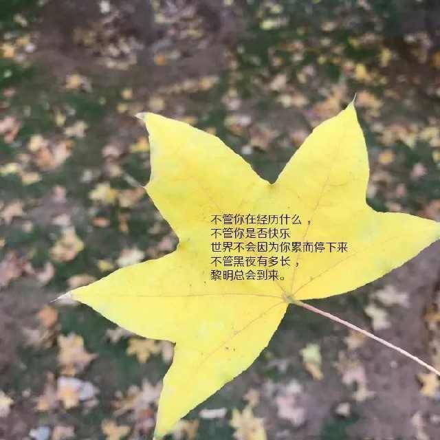 原創人不是靠心情活著,而是靠心態活著