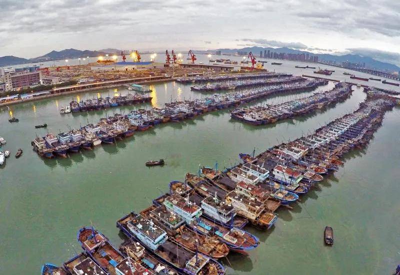 海上森林高崎渔港双创基地厦门蓝色经济浪尖起舞