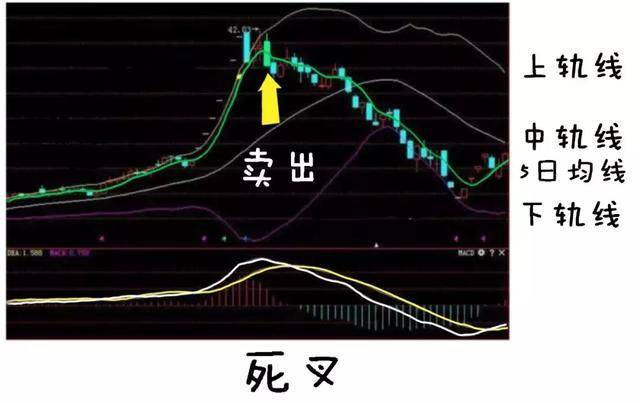 这是我见过最完美的交易系统:boll macd 5日线,简单实用