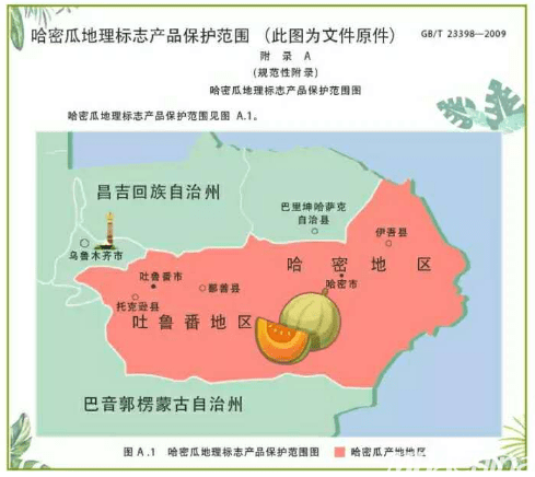 新疆哈密瓜电子商务"新疆果缘物语"一件代发 助力新疆果农