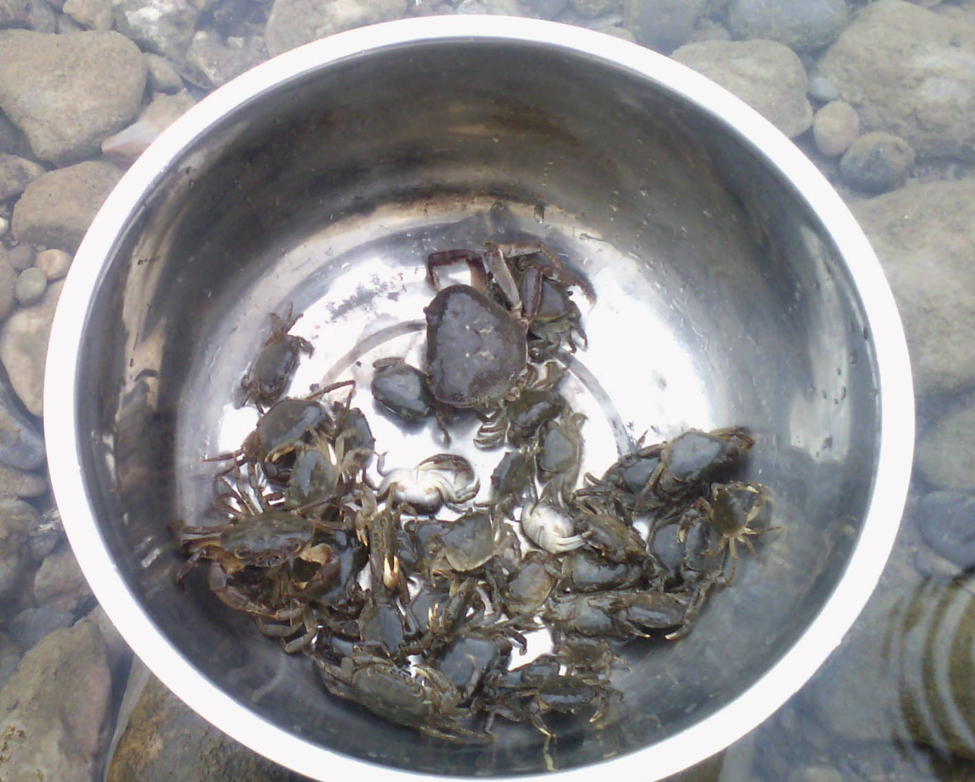 大衣哥朱之文逼人上吊?评论:贪图小利枉顾恩义,迷失本心的一群人!