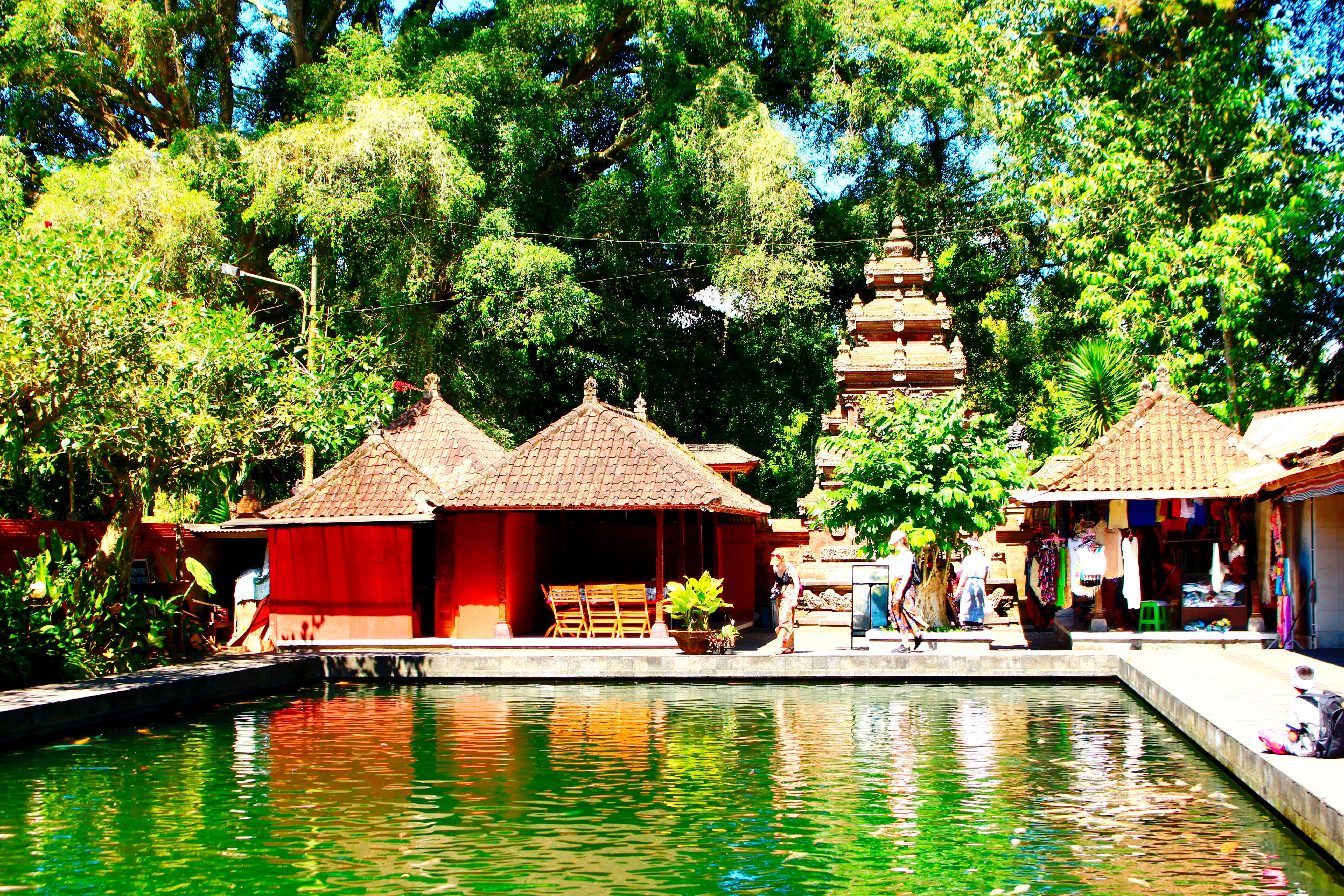 印尼巴厘岛风光 圣泉寺