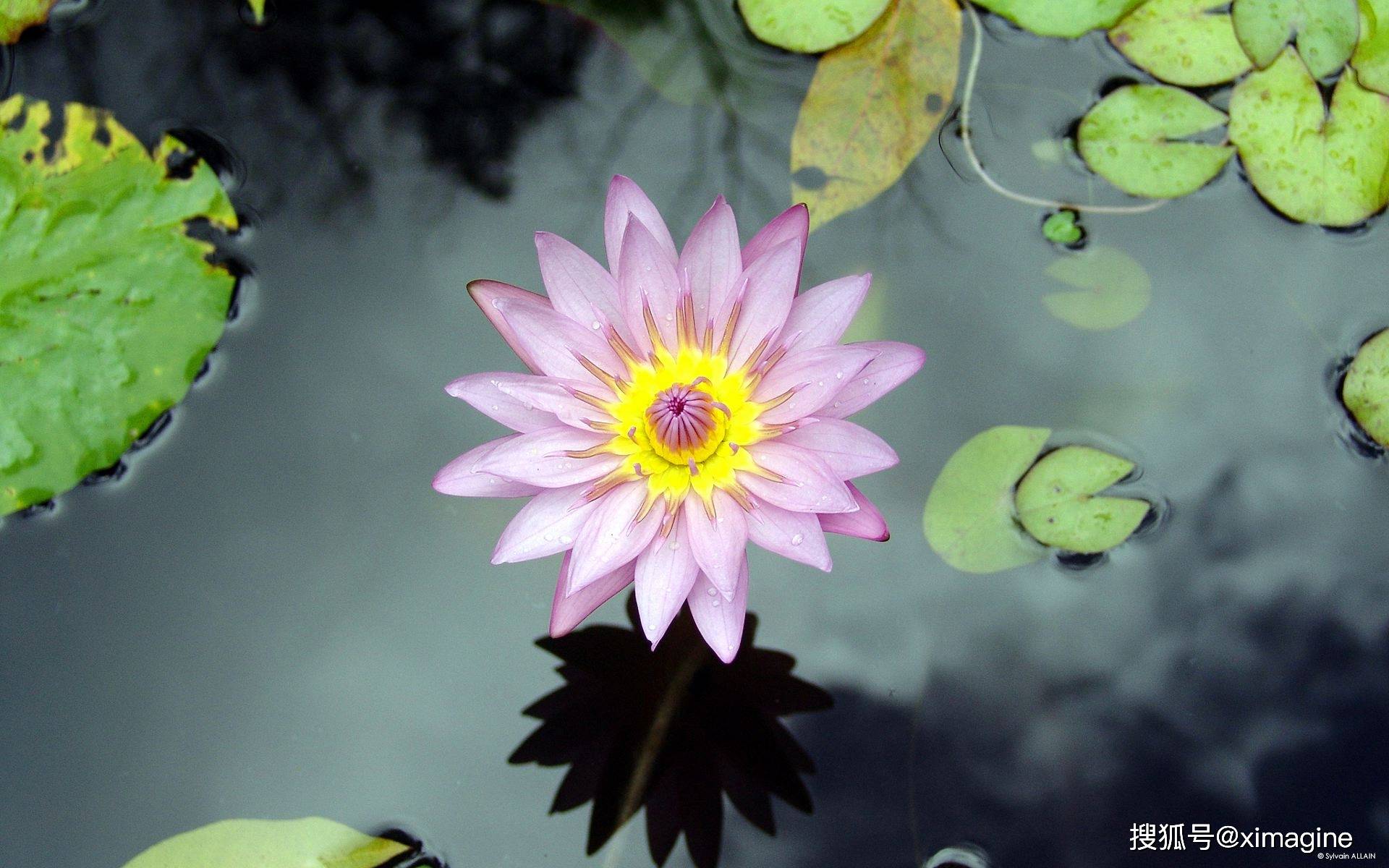 超清桌面壁纸 把美丽的风景装进电脑里