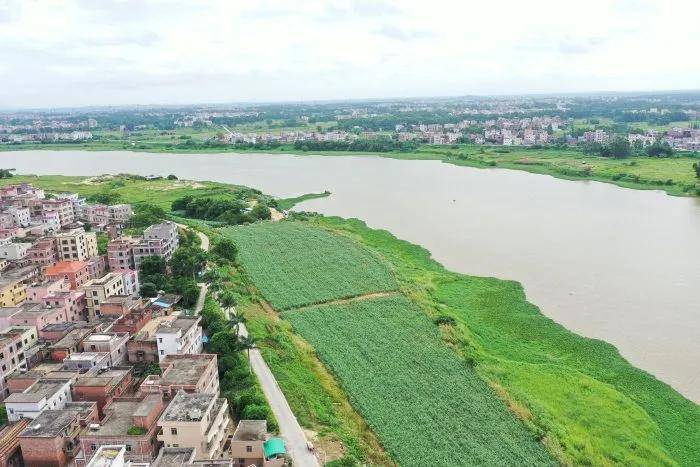 无人机带你俯瞰秀美的鉴江化州流域,视频 多图!