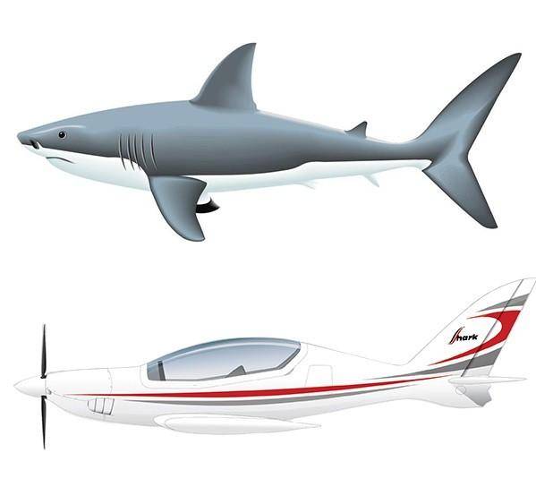 仿生学中的经典设计——鲨鱼飞机
