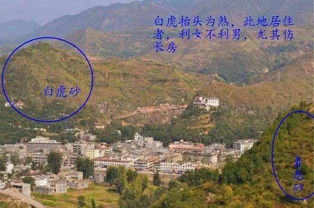 華子龍陰宅一線陽宅一片住房風水擇吉避兇的核心原則九維易