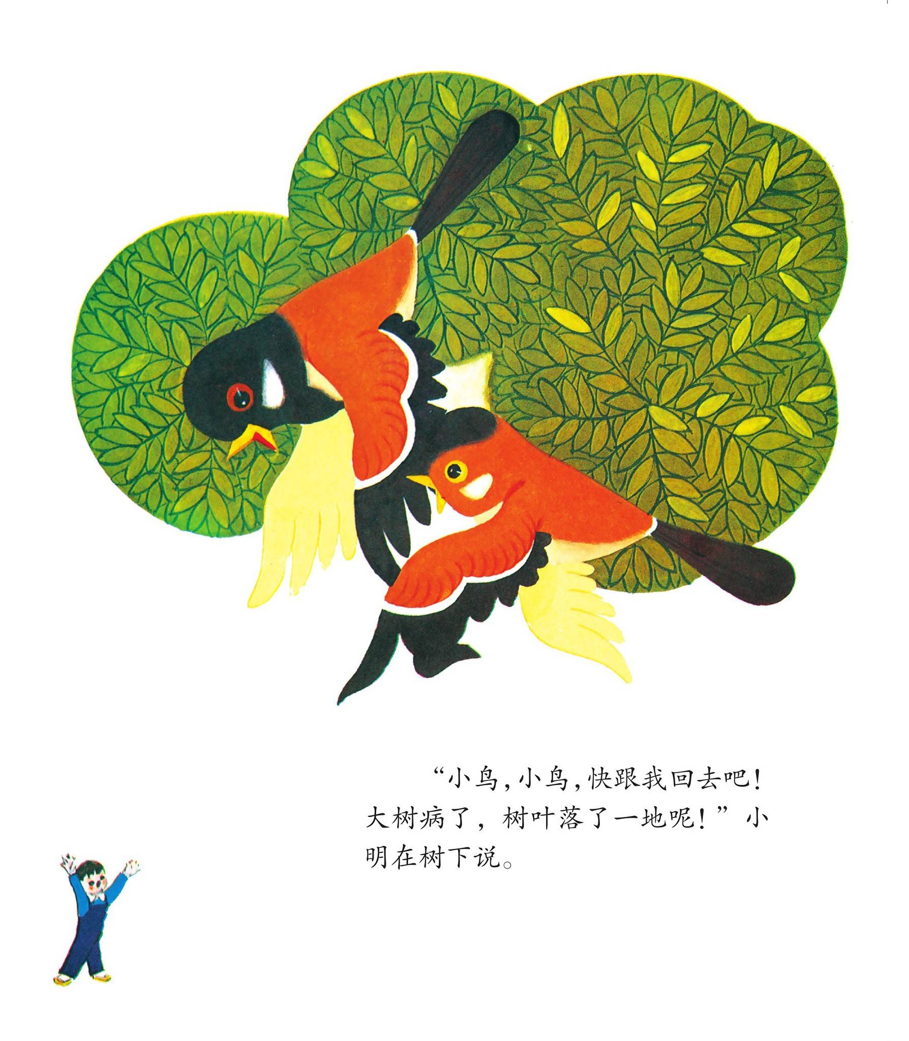 儿童绘本故事推荐《鸟邻居》