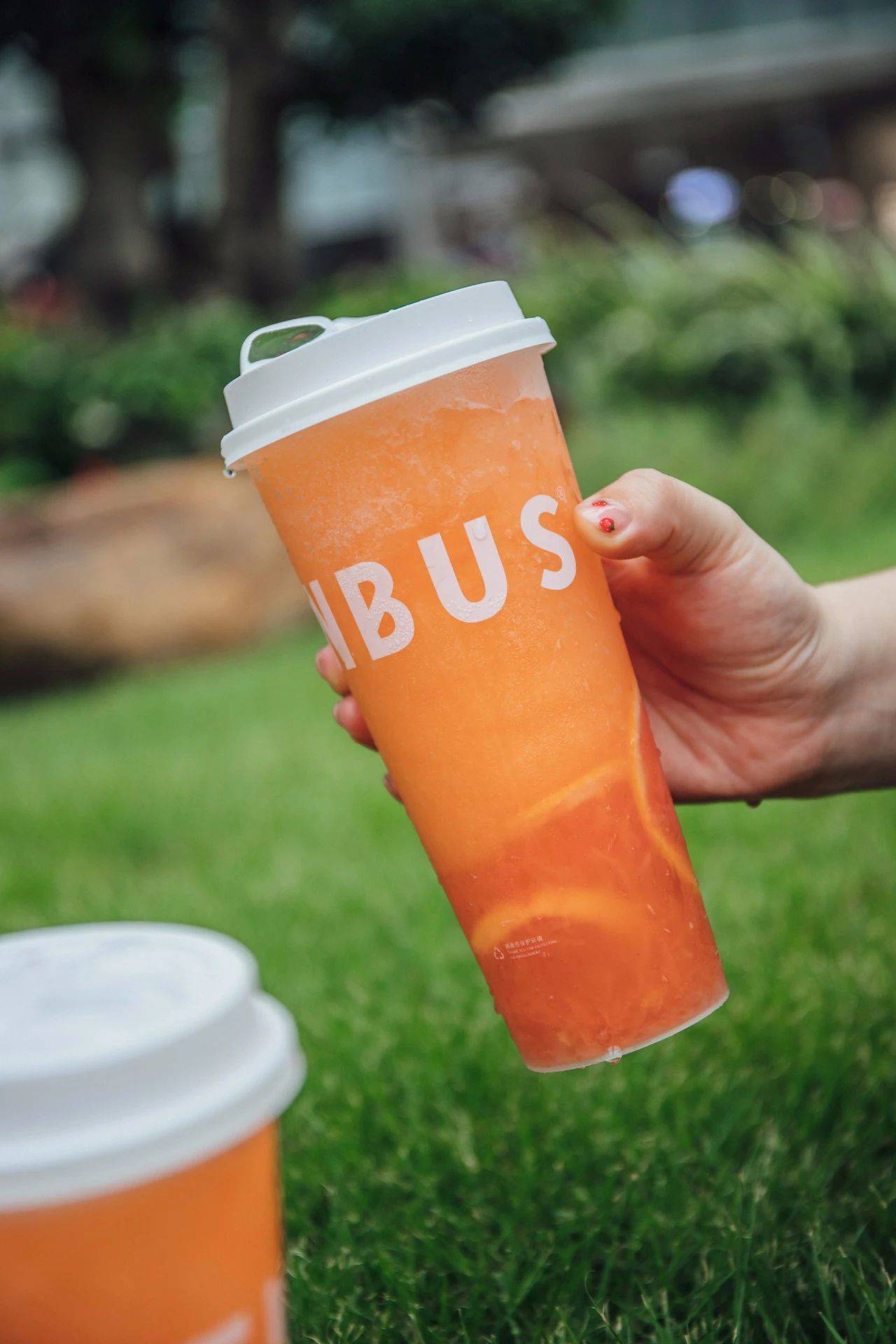 sevenbus"红宝石"茶强势上新,端午宠粉,限量送全新联名周边!