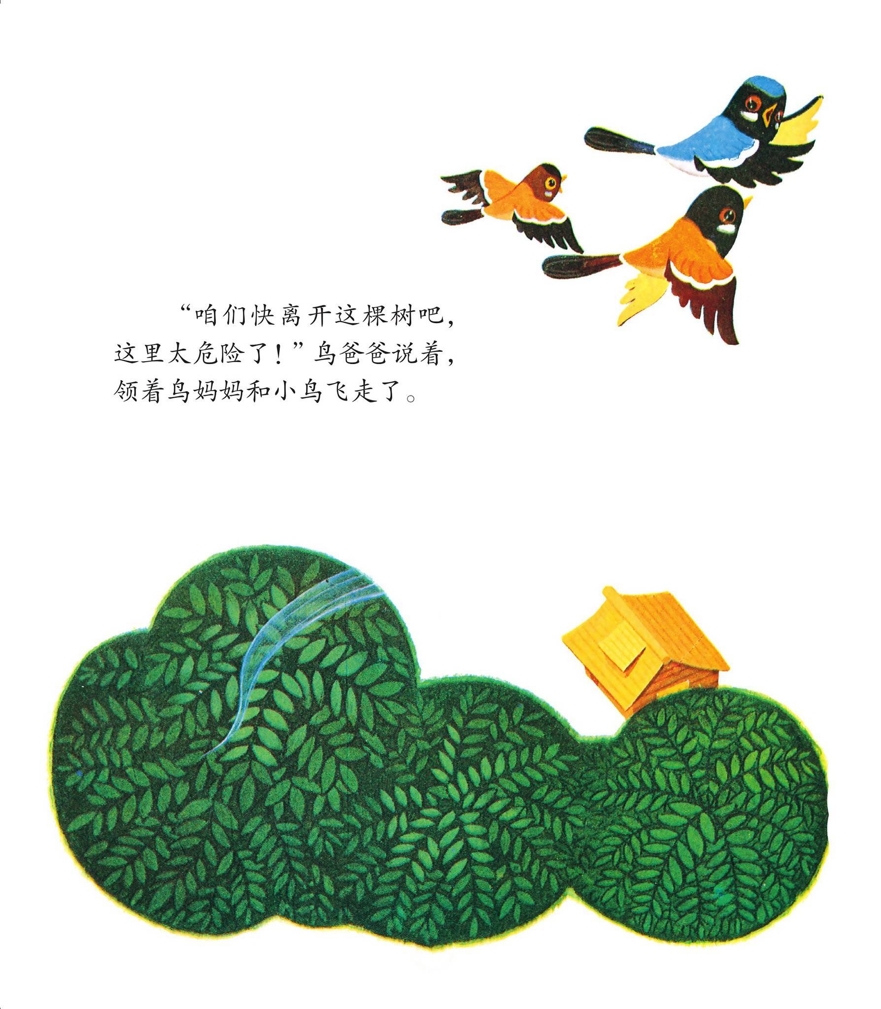 儿童绘本故事推荐《鸟邻居》