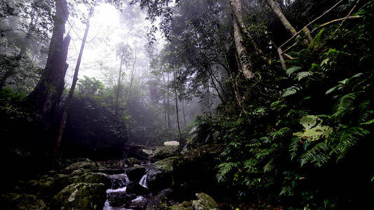 五指山市的水滿河熱帶雨林景區,海南省民族博物館,中華民族文化村